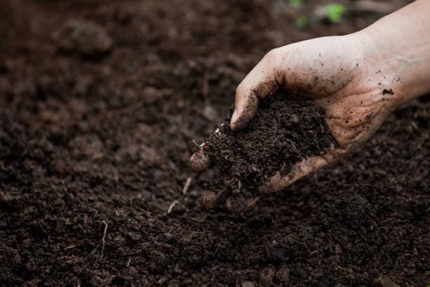 Compost certificado